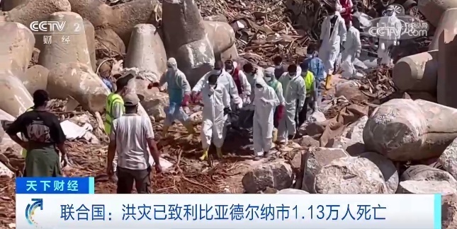 打牌网下载安卓